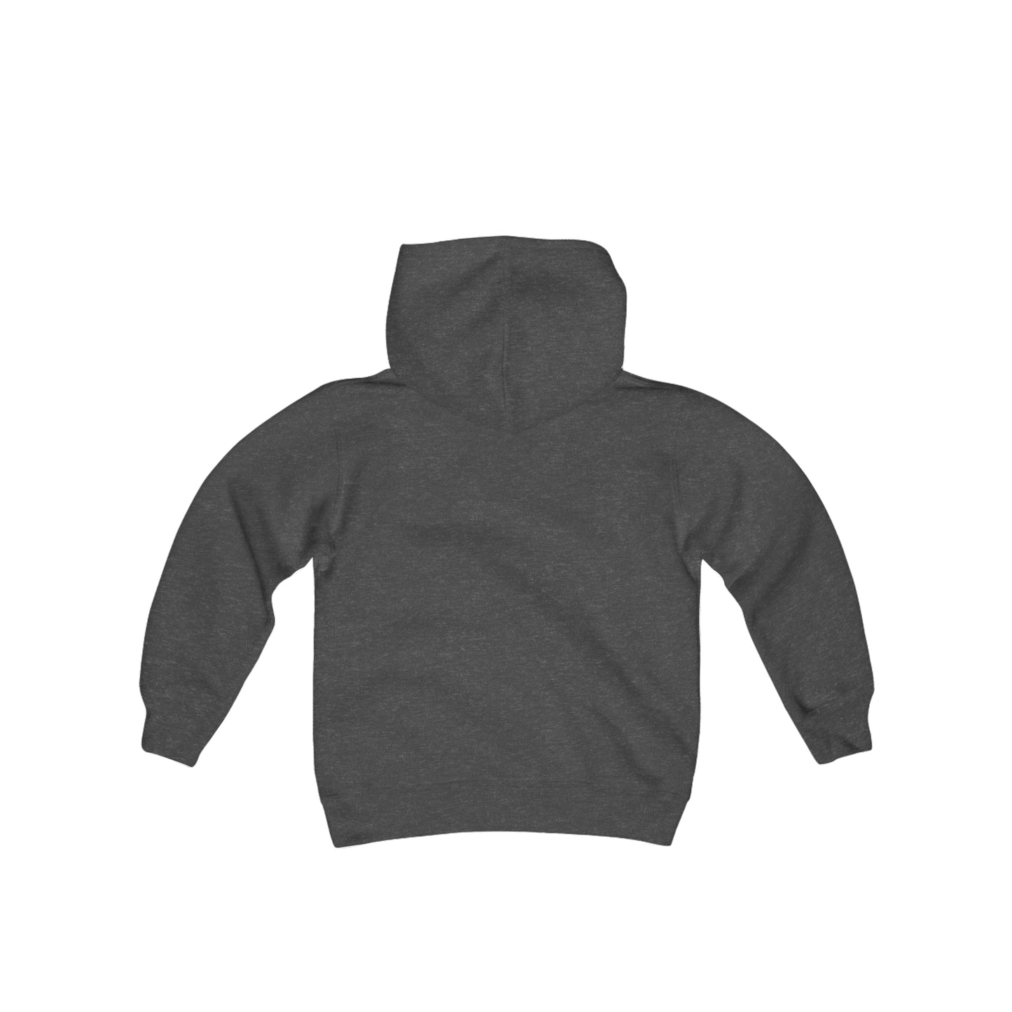 Youth  Hooded Sweatshirt